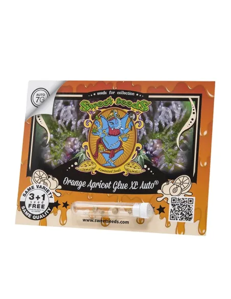 EN - Orange Apricot Glue XL Auto® 3+1