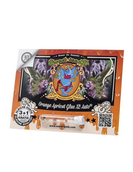 DE - Orange Apricot Glue XL Auto® 3+1