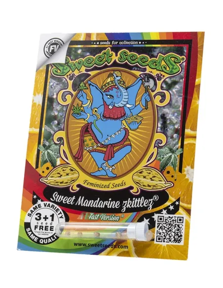 EN - Sweet Mandarine Zkittlez F1 Fast Version® 3+1