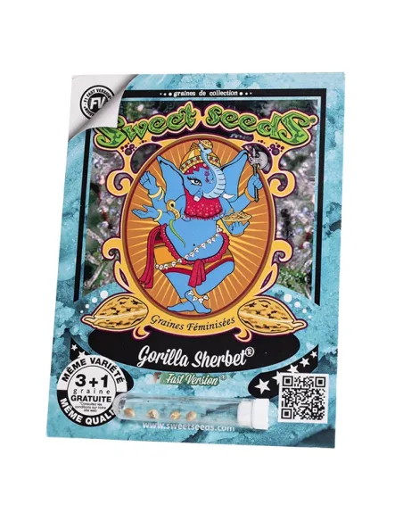 FR - Gorilla Sherbet F1 Fast Version® 3+1