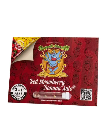 EN - Red Strawberry Banana Auto® 3+1