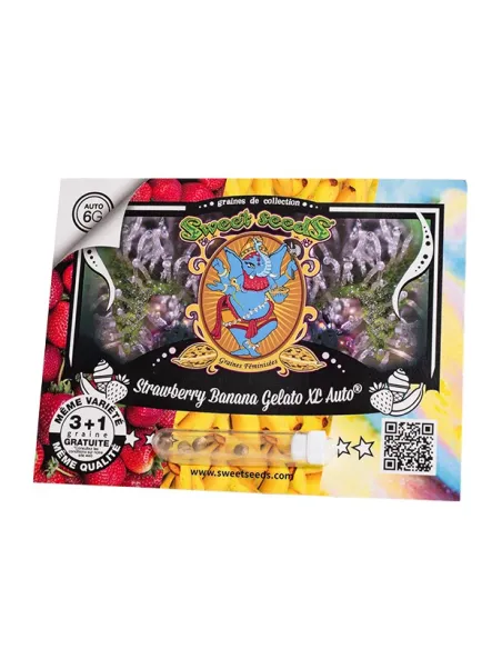 FR - Strawberry Banana Gelato XL Auto® 3+1