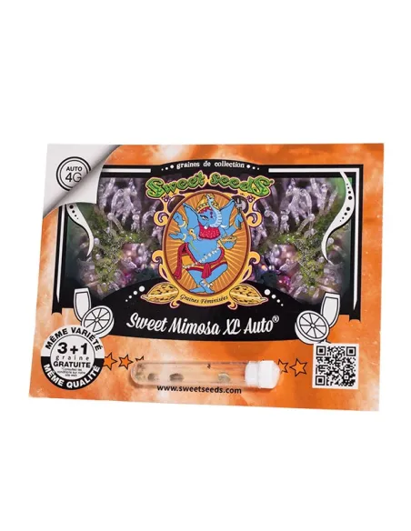 FR - Sweet Mimosa XL Auto® 3+1