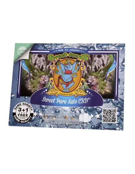 EN - Sweet Pure Auto CBD® 3+1