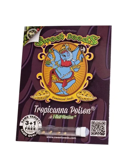 EN - Tropicanna Poison F1 Fast Version® 3+1