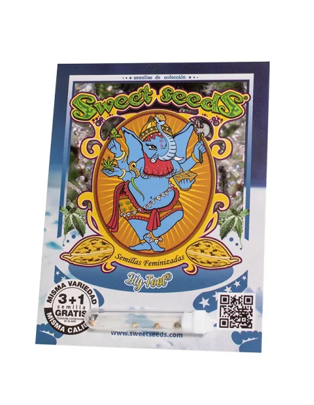 ES - Sweet Raquel 3+1