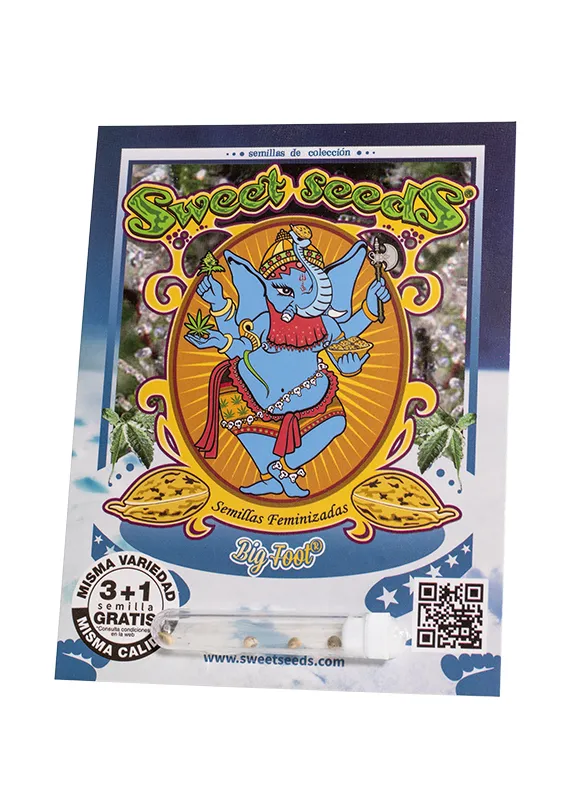 ES - Sweet Raquel 3+1