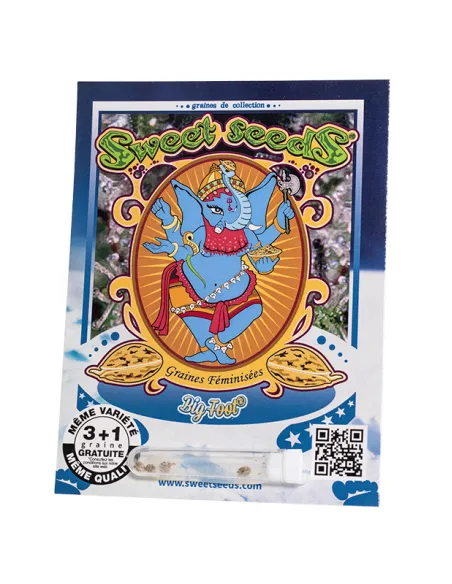 FR - Sweet Raquel 3+1