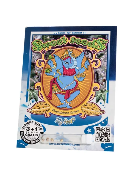 DE - Sweet Raquel 3+1