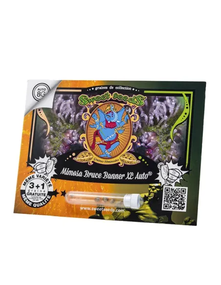 FR - Mimosa Bruce Banner XL Auto® 3+1