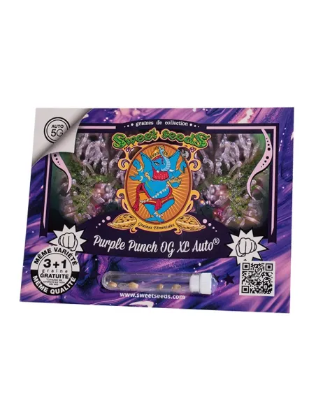 FR - Purple Punch OG XL Auto® 3+1