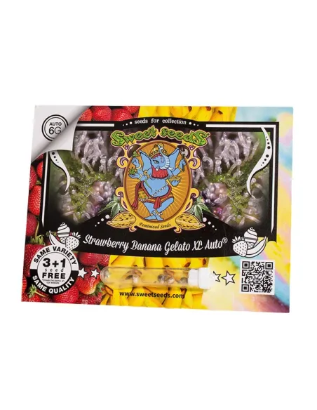 EN - Strawberry Banana Gelato XL Auto® 3+1