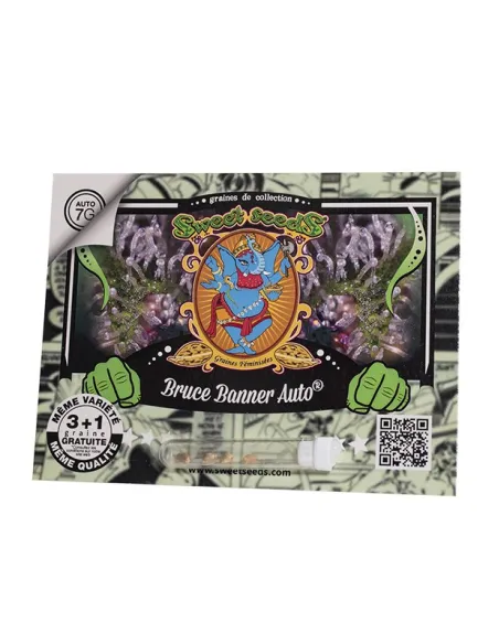 FR - Bruce Banner Auto® 3+1