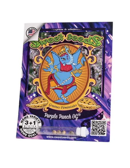 FR - Purple Punch OG® 3+1