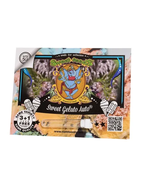 EN - Sweet Gelato Auto® 3+1