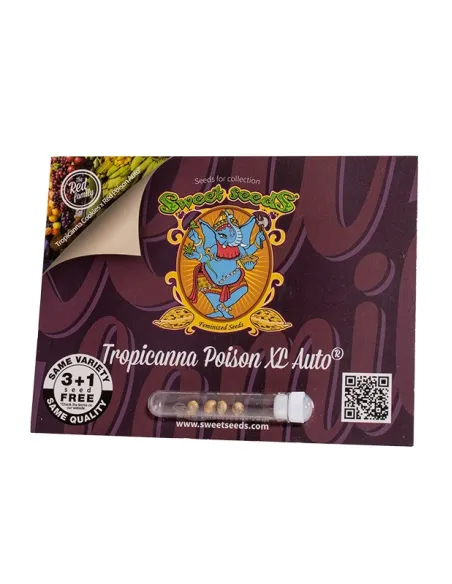 EN - Tropicanna Poison XL Auto® 3+1