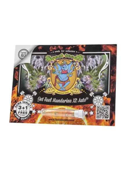 EN - Jet Fuel Mandarine XL Auto® 3+1