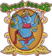 Sweet Seeds® USA